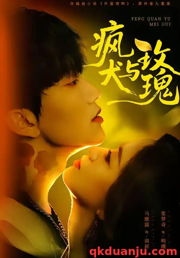 短剧 疯犬与玫瑰（80集全）马應露/张梦奇