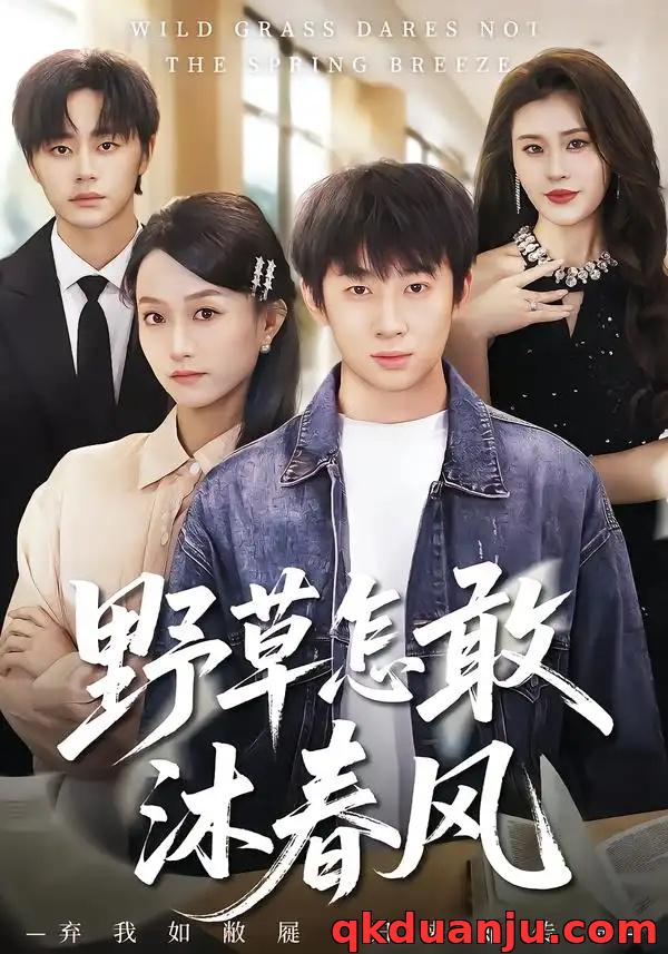 短剧 野草怎敢沐春风（61集全）王楚/周瑾阳