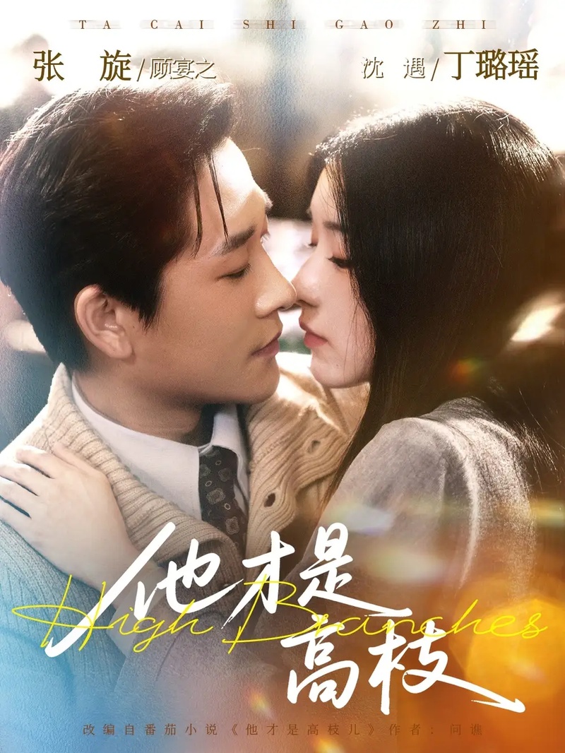 短剧 他才是高枝（77集全）张旋/丁璐瑶