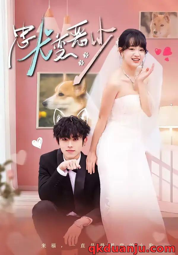 短剧 惊！我家来福变恶少了/忠犬变恶少（80集全）曹竣柯/赵影