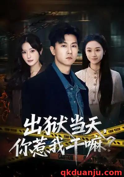 短剧 出狱当天，你惹我干嘛？/出狱当天你惹我干嘛（62集全）王鹏/郑皓月