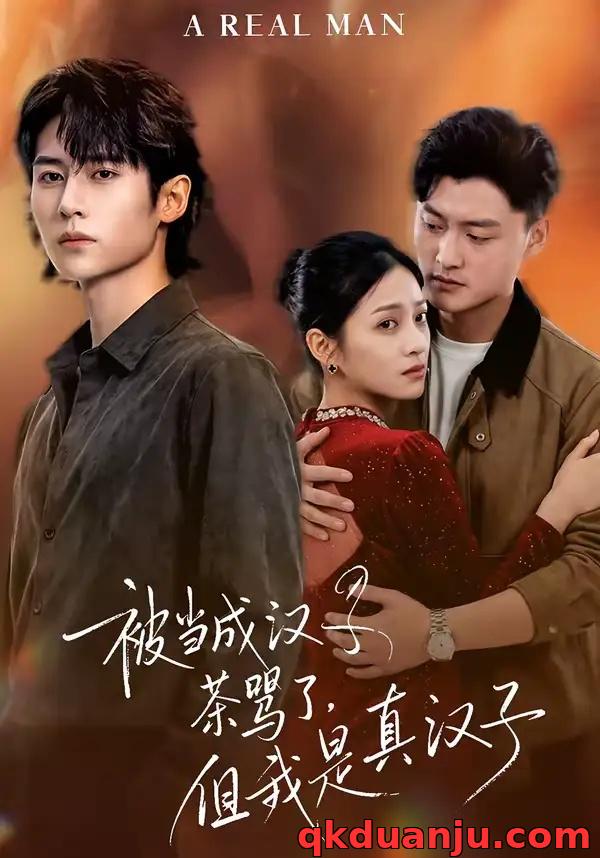 短剧 被当成汉子茶骂了，但我是真汉子（81集全）杨舒维/林媛媛