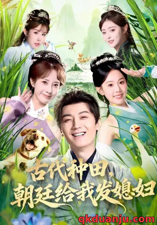 短剧 古代种田，朝廷给我发媳妇（81集全）刘子洋/倪浩森