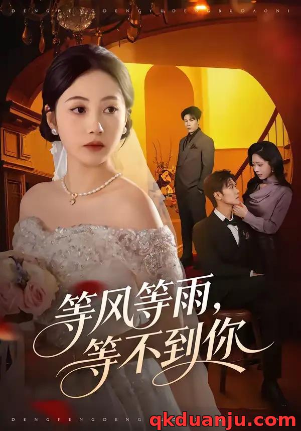 短剧 等风等雨，等不到你（65集全）陈京霖/曾和惠子