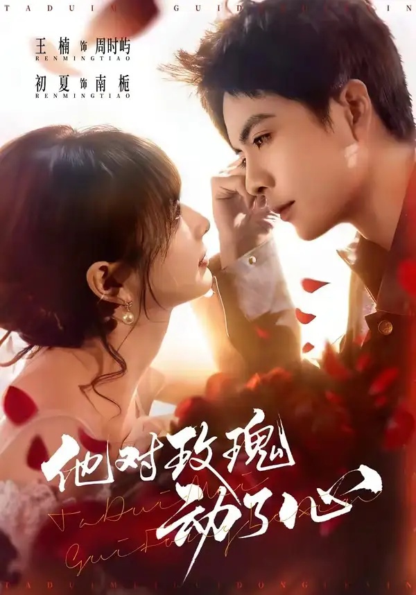 短剧 他对玫瑰动了心（68集全）王楠/初夏