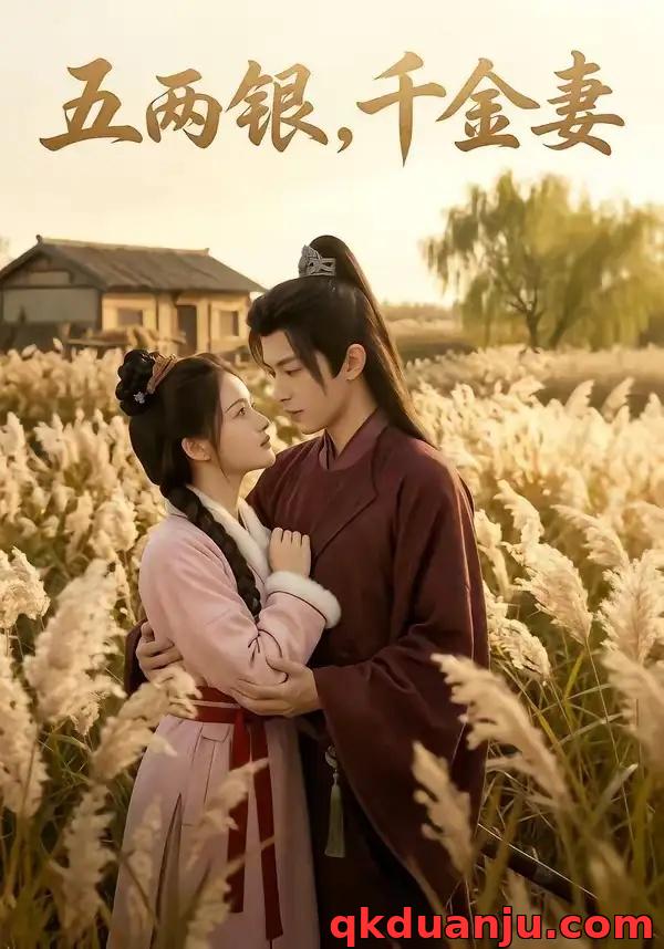 短剧 五两银，千金妻（60集全）AI短剧