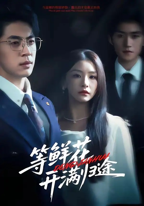 短剧 等鲜花开满归途（61集全）金锦灿/贾金赛/费晨曦/瞿宇