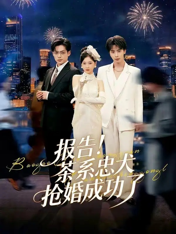 短剧 报告！茶系忠犬抢婚成功了（83集全）夏志成/李珈童