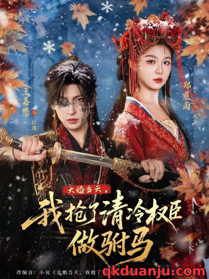 短剧 大婚当天，我抢了清冷权臣做驸马（73集全）王嘉懋/郑晨雨