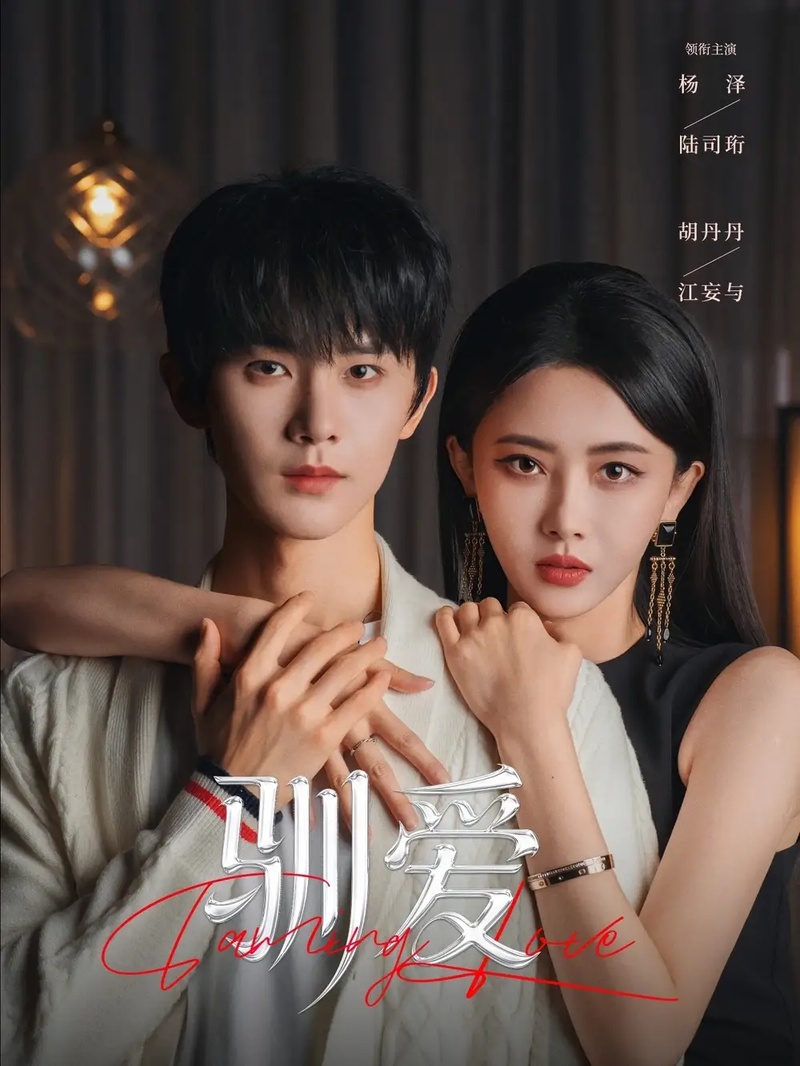 短剧 03.驯爱（80集全）杨泽/胡丹丹