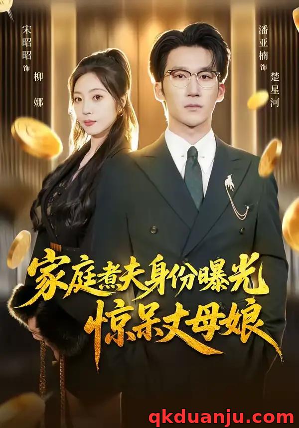 短剧 家庭煮夫身份曝光惊呆丈母娘（80集全）潘亚楠/宋昭昭