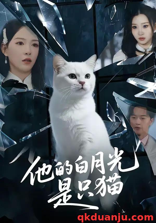 短剧 他的白月光是只猫（69集全）陈家豪/葛晓希