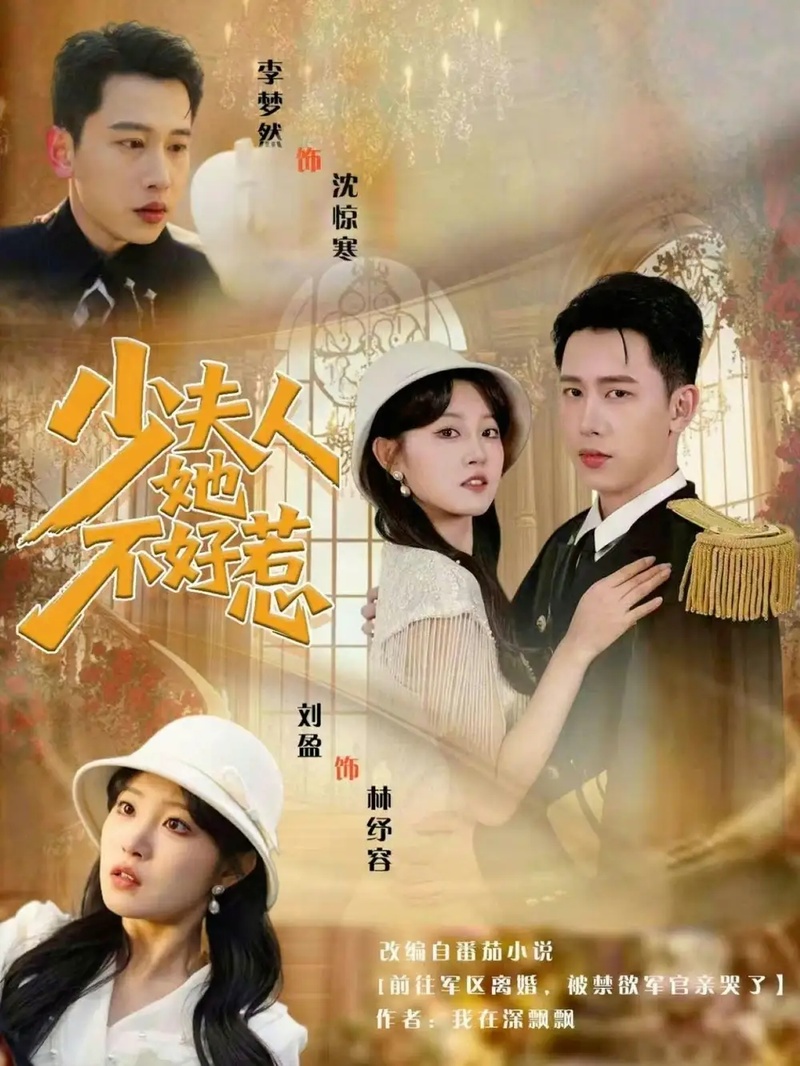 短剧 少夫人她不好惹（69集全）李梦然/刘盈