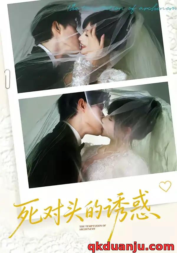 短剧 死对头的诱惑（77集全）谢熠柯/刘浔