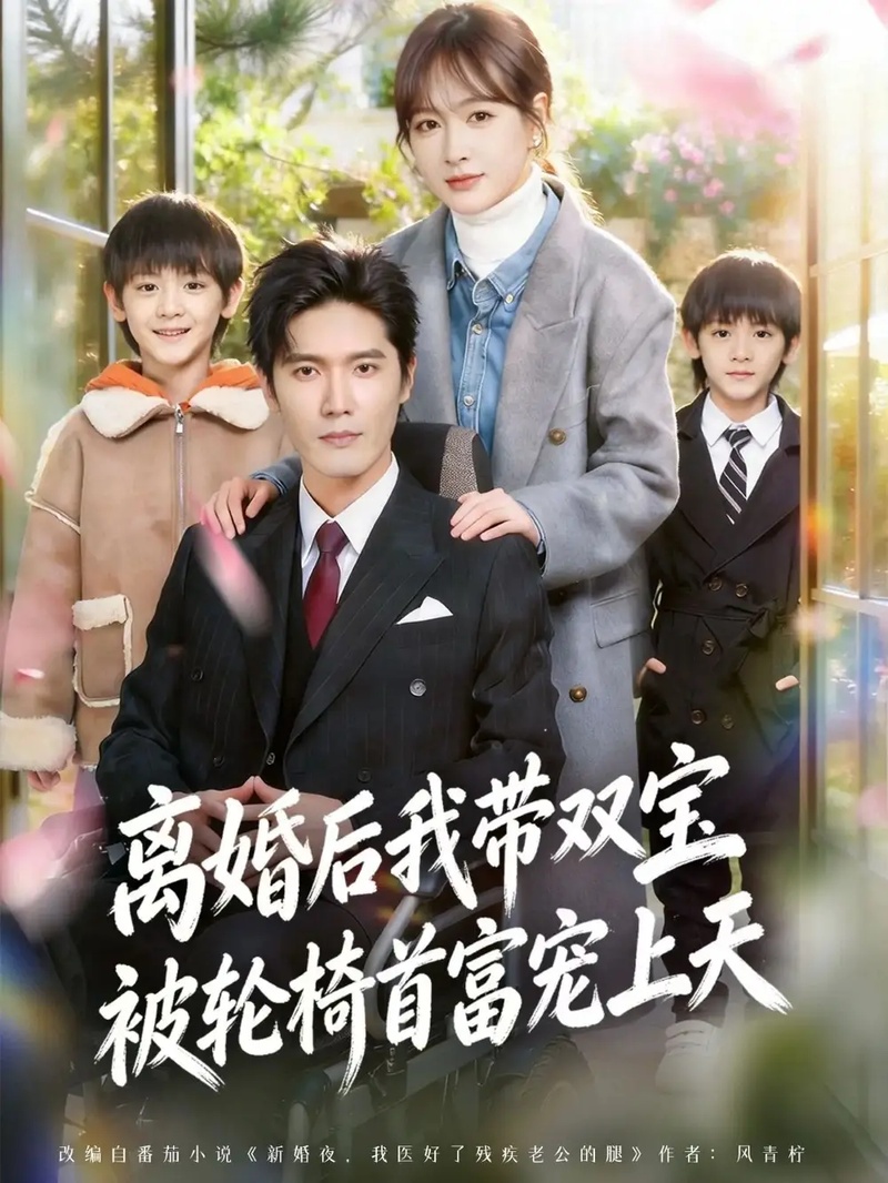 短剧 离婚后，我被轮椅首富宠上天（74集全）刘海宽/初夏