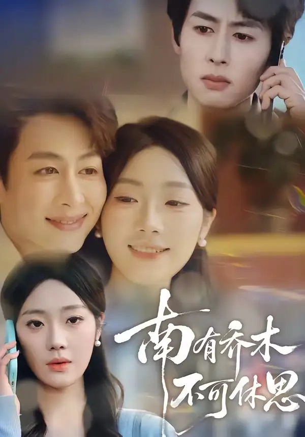 短剧 南有乔木，不可休思（68集全）邢航铭/孔祥东