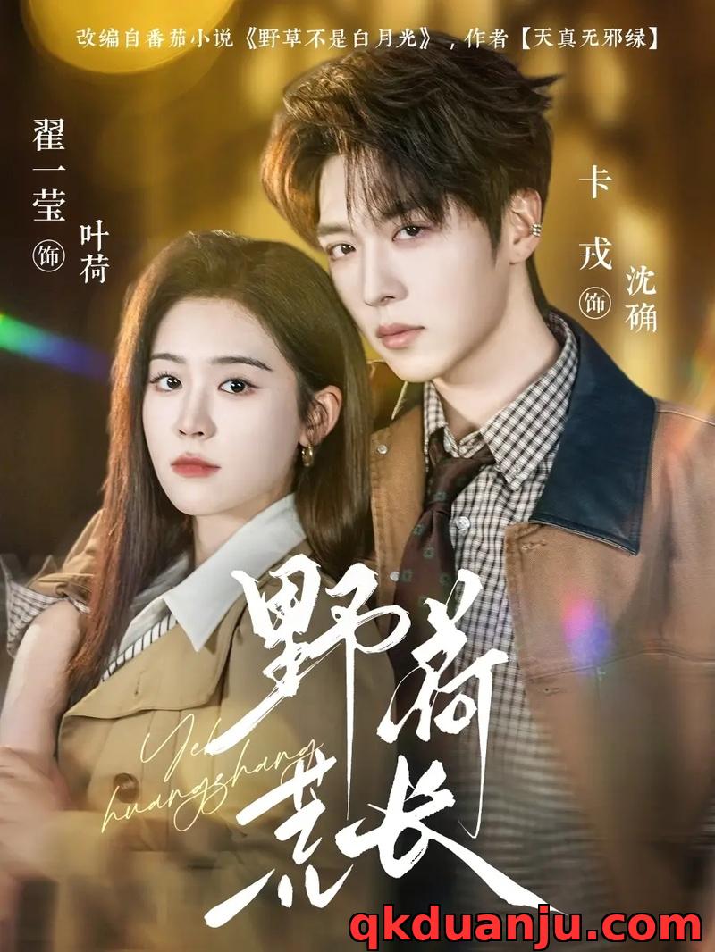 短剧 野荷荒长（86集全）卡戎/翟一莹