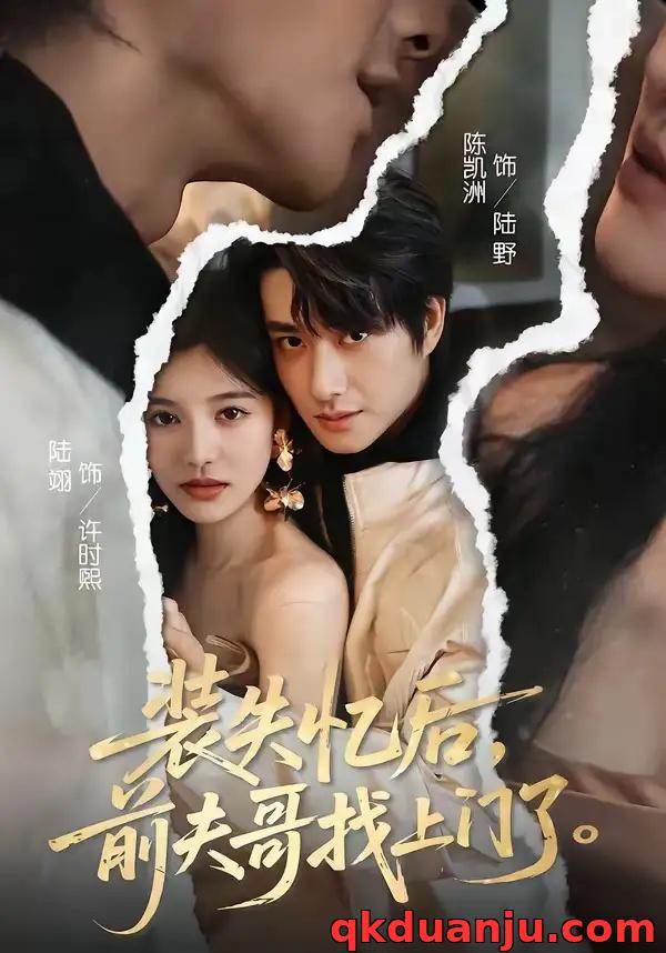 短剧 装失忆后,前夫哥找上门了(60集全)陈凯洲/陆翊