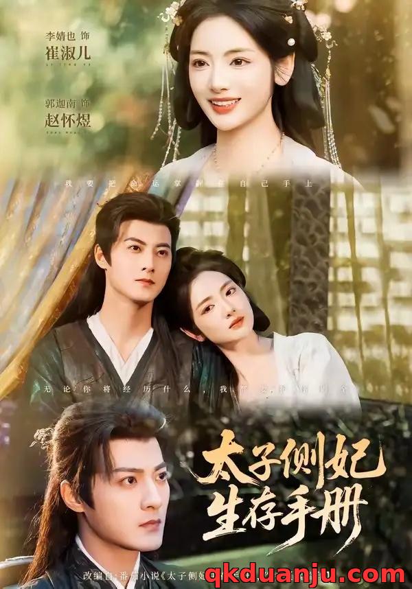 短剧 太子侧妃生存手册(63集全)郭迦南/李婧也