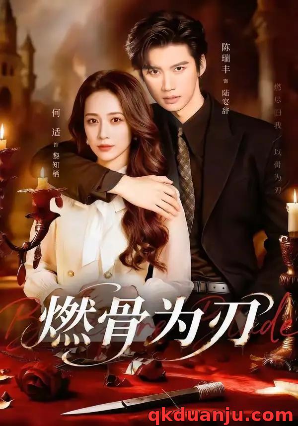 短剧 燃骨为刃（62集全）陈瑞丰/何适