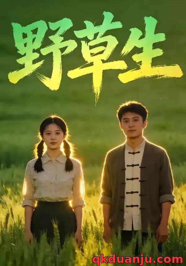 短剧 野草生（60集全）AI短剧