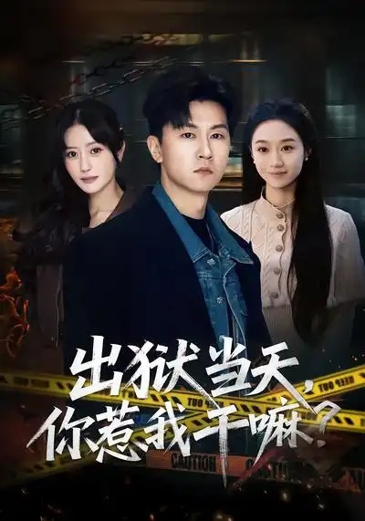 短剧 出狱当天,你惹我干嘛?(62集全)王鹏/郑皓月