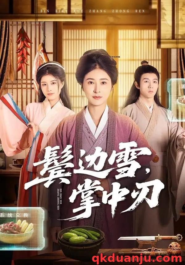 短剧 22.鬓边雪，掌中刃（60集全）王超/唐齐遥