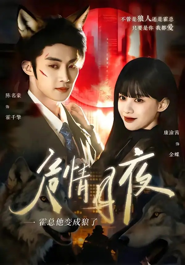短剧 危情月夜：霍总他变成狼了（70集全）陈名豪/康渝茜