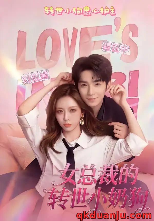 短剧 女总裁的转世小奶狗（30集全）程钲中/刘祖嫣