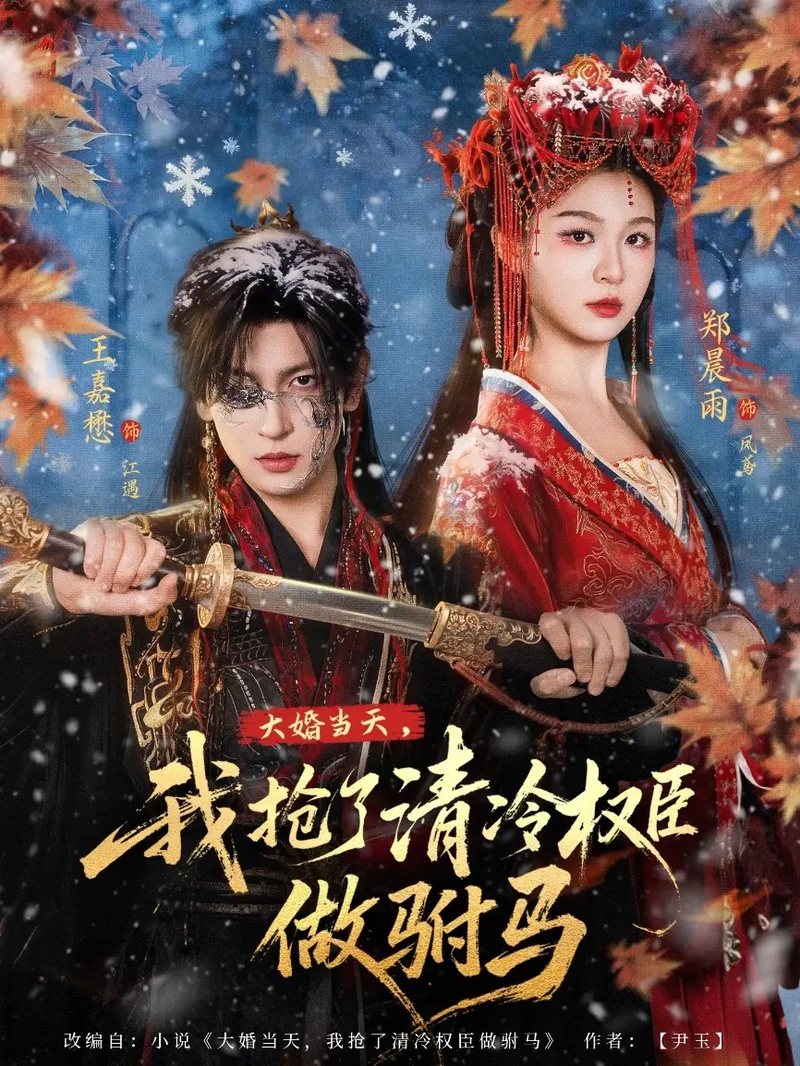 短剧 大婚当天，我抢了清冷权臣做驸马（73集全）郑晨雨/王嘉懋