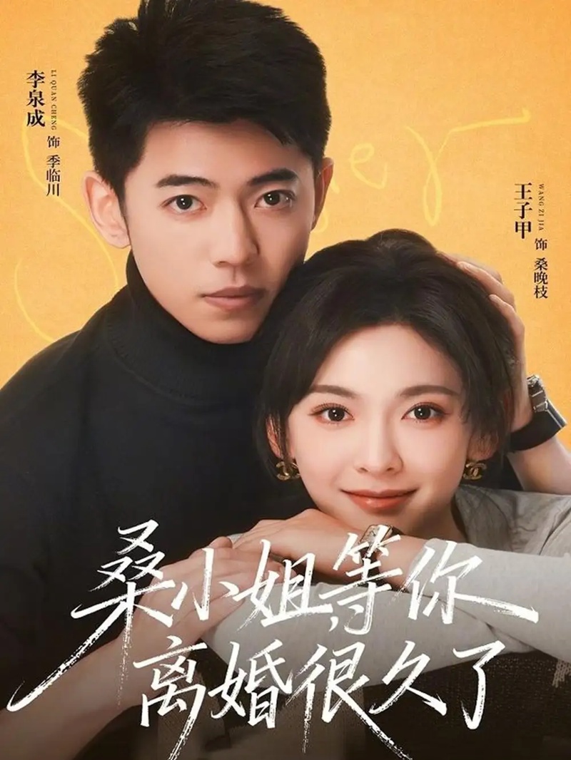 短剧 桑小姐，等你离婚很久了（70集全）王子甲/李泉成