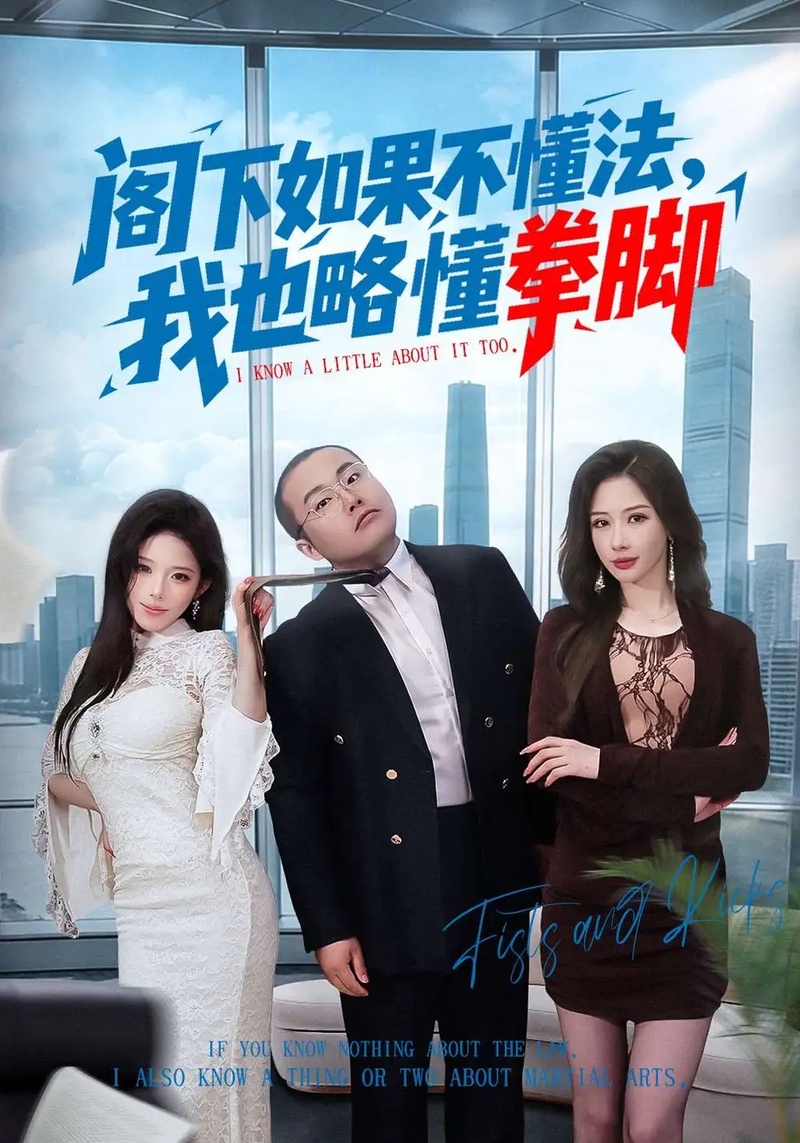 短剧 阁下如果不懂法，我也略懂拳脚（77集全）魏华/徐诗颖