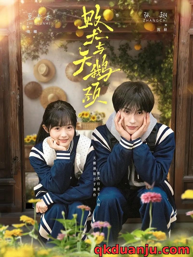 短剧 败犬与天鹅颈（71集全）张翅/至春禾
