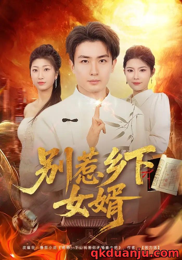短剧 别惹乡下女婿（80集全）周泽壤/韩宇婷